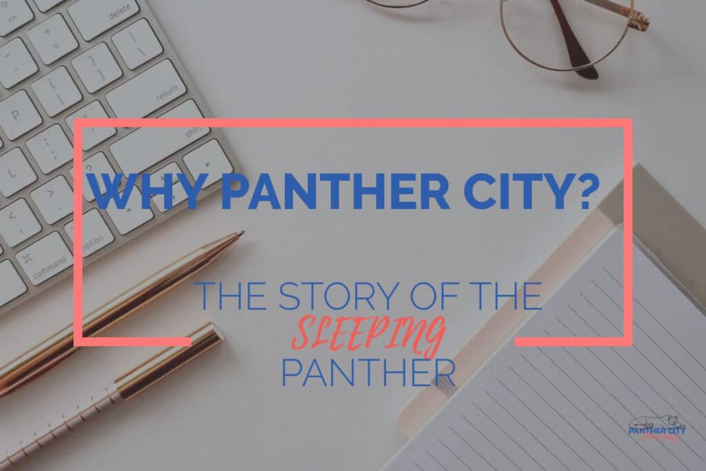 Panther City Marketing Fort Worth Texas